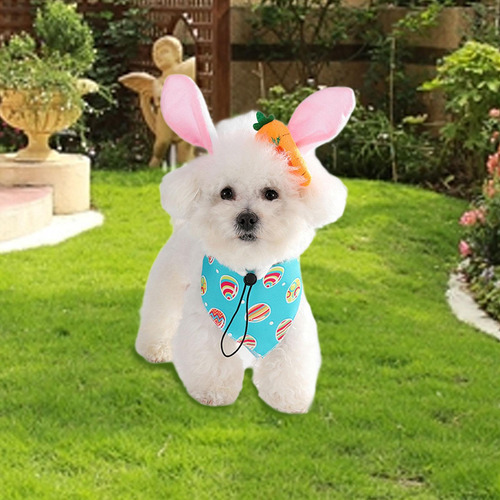 Pañuelo Triangular Para Perro, Pañuelo Para Perros