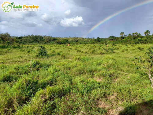 Imagem 2 de 14 de Fazenda Á Venda Em Barra Do Ouro - T0 - 1.621,4 Hectares (dupla Aptidão) - 2129