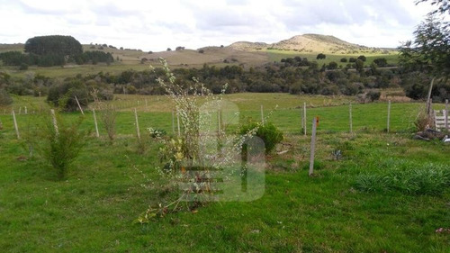 Imagen 1 de 3 de 39 Ha Lavalleja, Cercanas A Aiguá,
