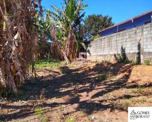 Imagem 2 de 3 de Terreno Para A Venda No Bairro Palmeiras - Te00052 - 69310151