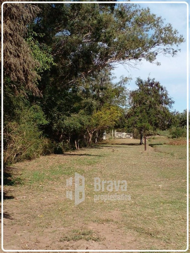 Imagen 7 de 9 de Excelente Lote De 8000 Mts2