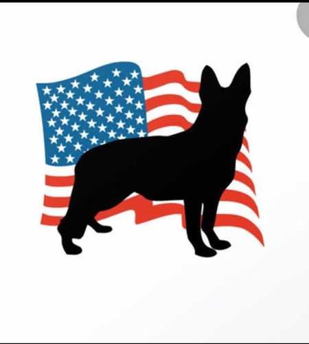 Imagem 1 de 1 de Aulas De Inglês Com Professor Americano