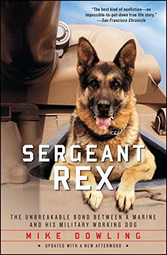 Sergeant Rex The Unbreakable Bond Between A Marine And His M