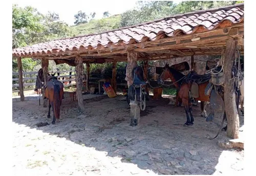 Vendo Finca De 30 Cuadras En Damasco Para Ganadería Cerca La Pintada