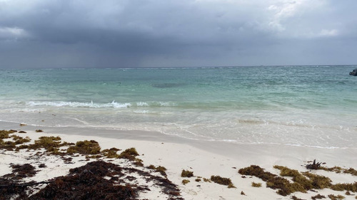 Lote Con Playa En La Riviera Maya En Venta