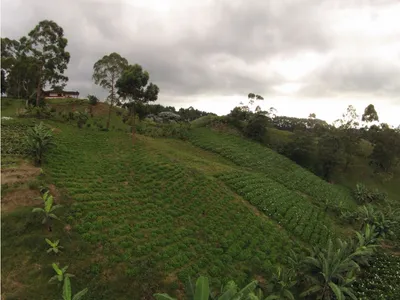 Finca en venta