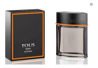 Perfume Importado Tous Man Intense Edt 100ml Original