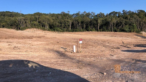 Imagem 13 de 27 de Terreno À Venda, 300 M² Por R$ 115.000,00 - São Giácomo - Caxias Do Sul/rs - Te0173