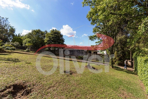 Imagem 6 de 30 de Terreno Em Barreirinha, Curitiba, Paraná - Te00033 - 33491718