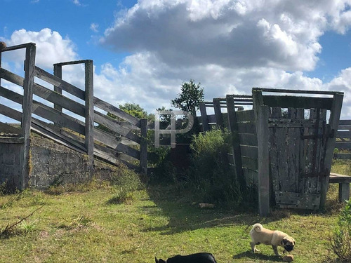 Imagen 3 de 12 de Campo En Venta Las Cañas 77 Hectáreas