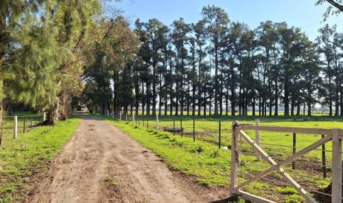 Campo En Venta - 2 Dormitorios 1 Baño - 12.000mts2 - Exaltación De La Cruz