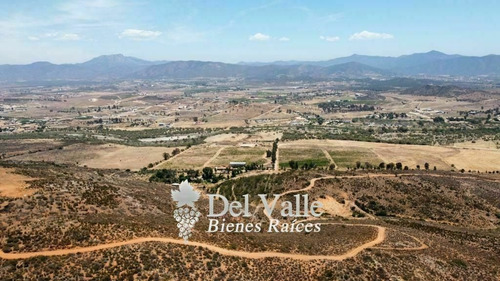 Imagen 3 de 9 de 1 A 5 Hectáreas En Valle De Guadalupe A Espaldas De Casa Fri