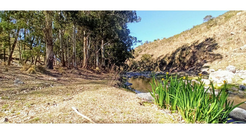 Imagen 26 de 30 de Venta. 67 Hectareas En Candonga, Cordoba. Con 2 Km De Costa De Rio. Titulos Perfectos