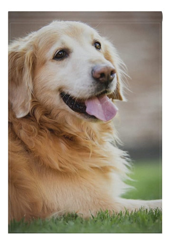 Blueviper Golden Retriever - Bandera De Jardín Para Perro, 1