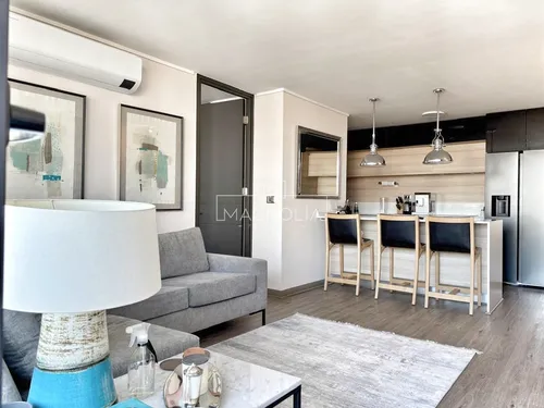 Departamento En Arriendo De 2 Dorm. En Providencia