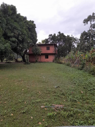 Imagen 27 de 30 de En Venta Finca En Ocumare De La Costa, Aragua