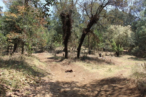 Imagen 10 de 10 de Terreno En Paraje Tetecuintla, Huitzilac, Morelos.