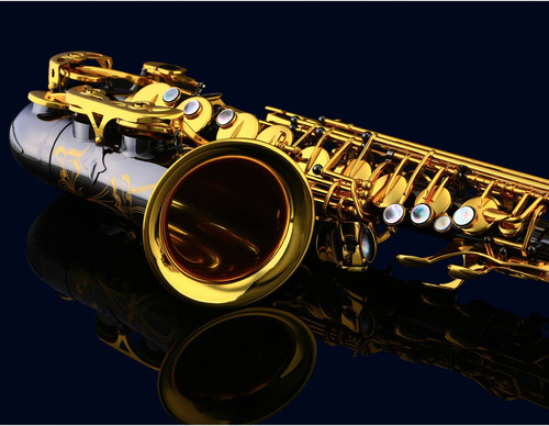 Saxo Alto Kuno Kas-901b Negro Con Llaves Doradas Profesional