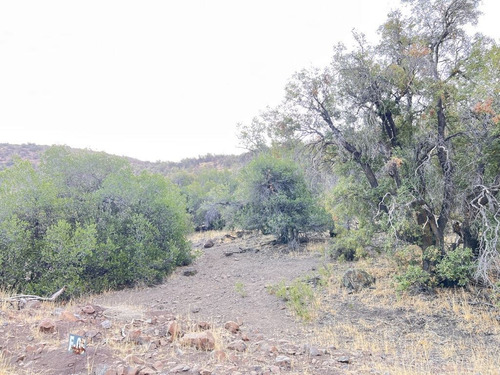 Parcela En Venta En San Francisco De Los Andes