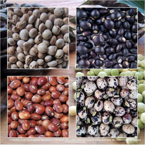 Sementes De Feijão Guandu Andu Vermelho Red Com + Variedades