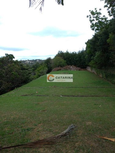 Imagem 4 de 29 de ***lindíssima Chácara***