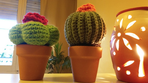 Cactus Crochet