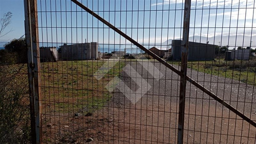 Sitio Con 2 Cabañas Alajadas, En Venta En Guanaqueros