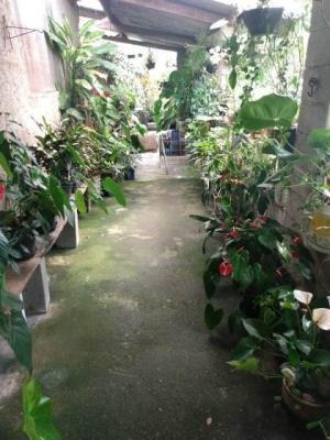 Chácara C/ 01 Dormitório Em Itanhaém,confira!! 7460 J.a