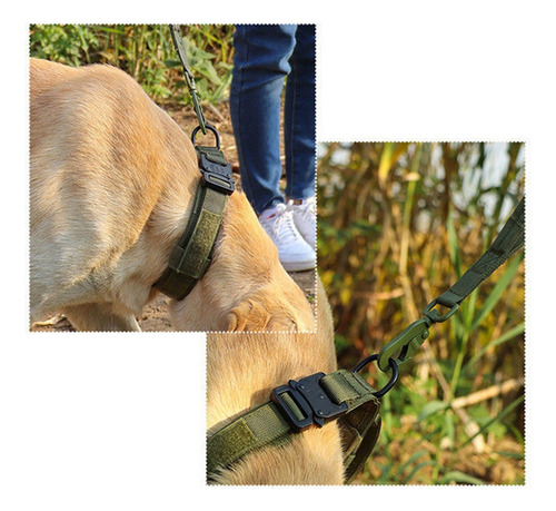 (l-5) Collar Táctico For Perros Collares Militares De