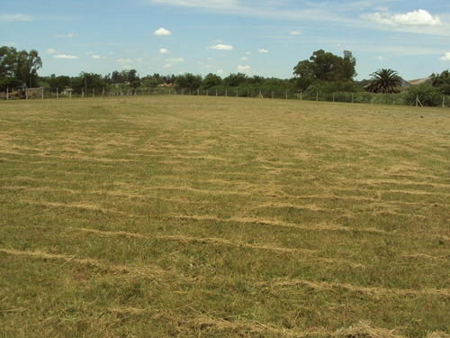 Imagen 2 de 6 de Lote De Terreno En Venta En Chscomus, Avenida Alfonsin