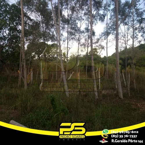 Chácara À Venda, 100000 M² Por R$ 700.000 - Zona Rural - Pirpirituba/pb - Ch0005