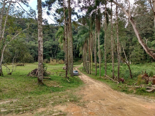 Imagem 17 de 30 de Sítio À Venda Em São Lourenço Da Serra; Sitio Com Piscina À Venda Em São Lourenço Da Serra Sp - 226 - 32982509