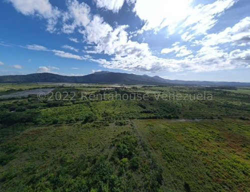 Finca En Venta Sabana De Parra Yaracuy Rah 23-14891 // Invierta Seguro Con Rentahouse//