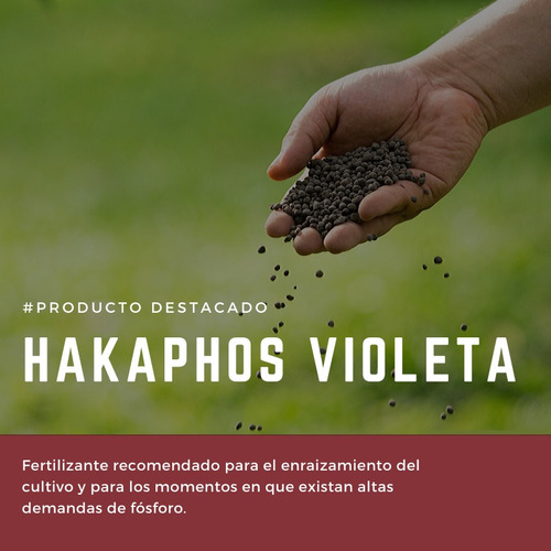 Fertilizante Hakaphos Violeta 13-40-13 Enraizamiento 500gr