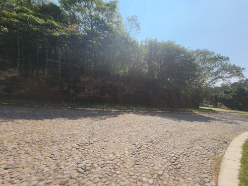 Venta Lote Glorieta Iii Muy Cerca Del Acceso Y De Las Amenidades Sobre Boulevard Fracc Rancho San Diego Ixtapan De La Sal Edomex