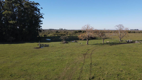 Imagen 3 de 10 de Venta Campo Ganadero 468 Has Norte De Entre Ríos