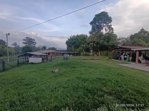 Vendo Finca En Otramina En Titiribí Suroeste Antioqueño De 2 Cuadras Topografía Plana