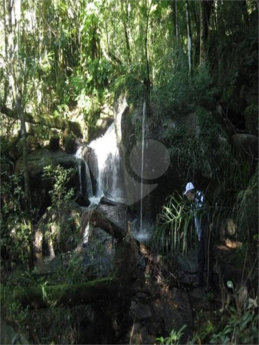 Imagem 6 de 19 de Propriedade Rural-ibiúna-recreio Campo Verde | Ref.: Reo500708 - Reo500708