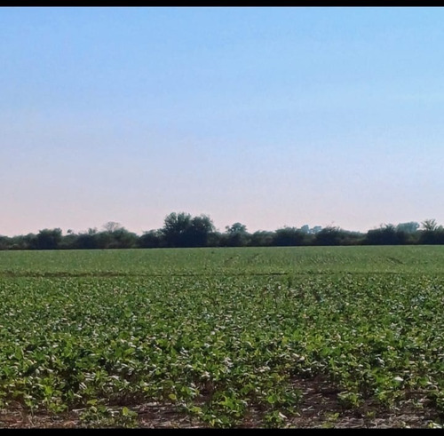 Campo 27 Hectareas Rosario Del Tala Soja Trigo Sorgo