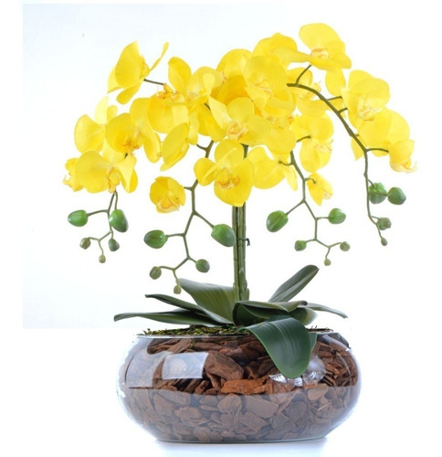 Arranjo Centro De Mesa De Orquídea Amarela Em Vaso De Vidro