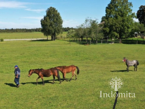 Parcela En Venta En Las Quemas Con Acceso Al Río Maullín