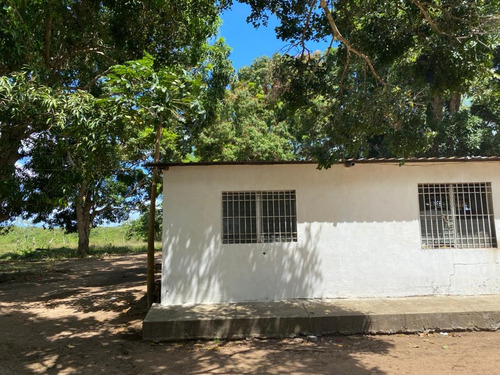 Midaly Vende Hermosa Finca, 240has, Entrada Al Tejero, A 250mts De La Virgen, Maturin, Monagas