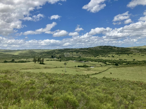 Imagen 16 de 20 de Venta Chacra Sierra Ruta 39 Aigua Sierra De Los Caracoles