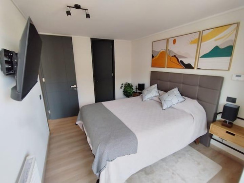 Arriendo Departamento Amoblado Exclusivo Sector Providencia