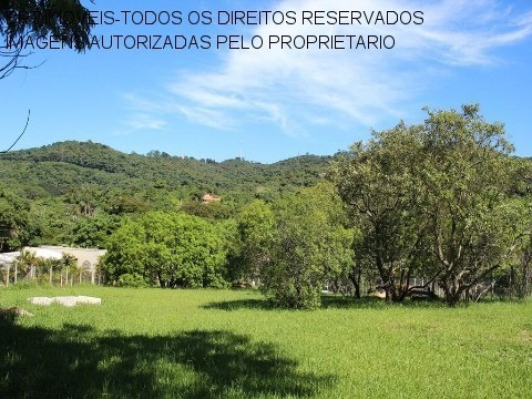 Imagem 11 de 21 de Te00110 - Taipas De Pedra - São Roque - Sp - Te00110 - 33617461