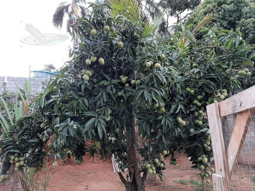 Chácara A Venda No Bairro Chácara San Martin I Em Itatiba - Ch365-1