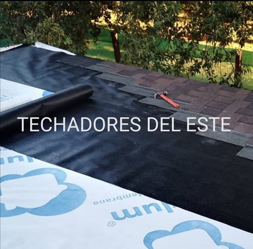 Imagen 5 de 5 de Diseñoycoloacion-teja Americana .