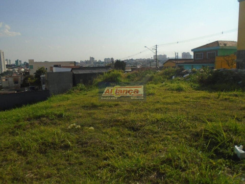 Area Excelente - Ai4495