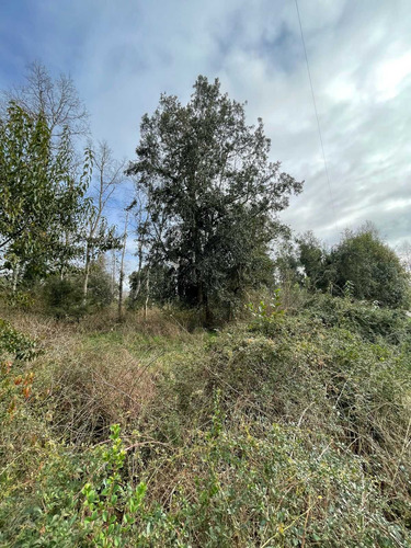 Parcela 6300m2 Arboles Nativos (105986)