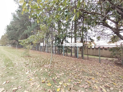 Imagem 9 de 15 de Terreno Comercial - Alem Ponte - Ref: 30742 - V-30742